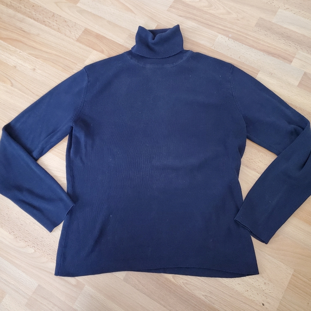 Ann Taylor Turtleneck